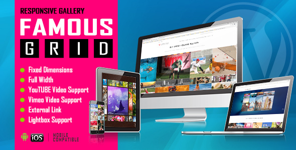 Famous Grid - Responsive Image Video Galleries WP Plugin